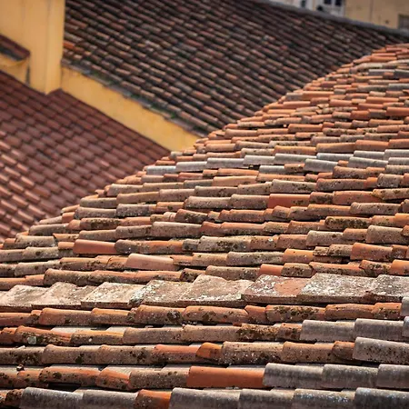Novella House Florenz